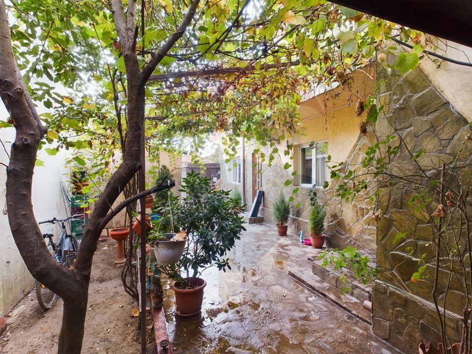 6 room House / Villa for sale, Andronache area