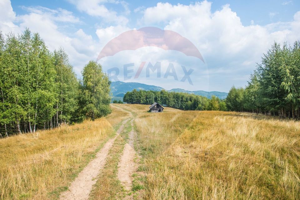 Teren extravilan Moieciu 45316mp