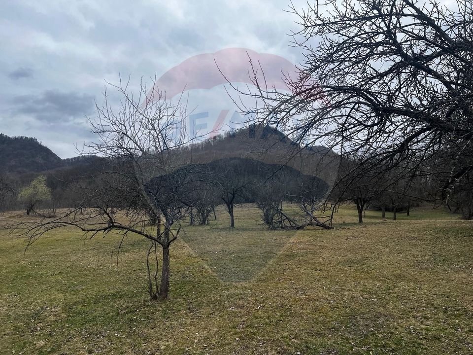 Land 12,458sqm Valeni (Metes) / Strada Principala