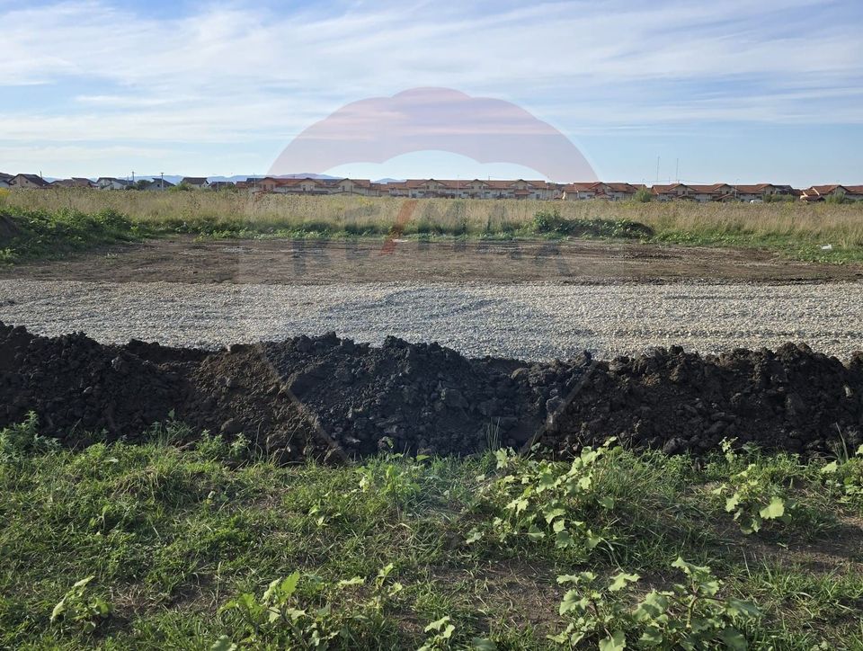 Teren Sanpetru, str Armoniei, 539mp, cu proiect casa si avize in lucru