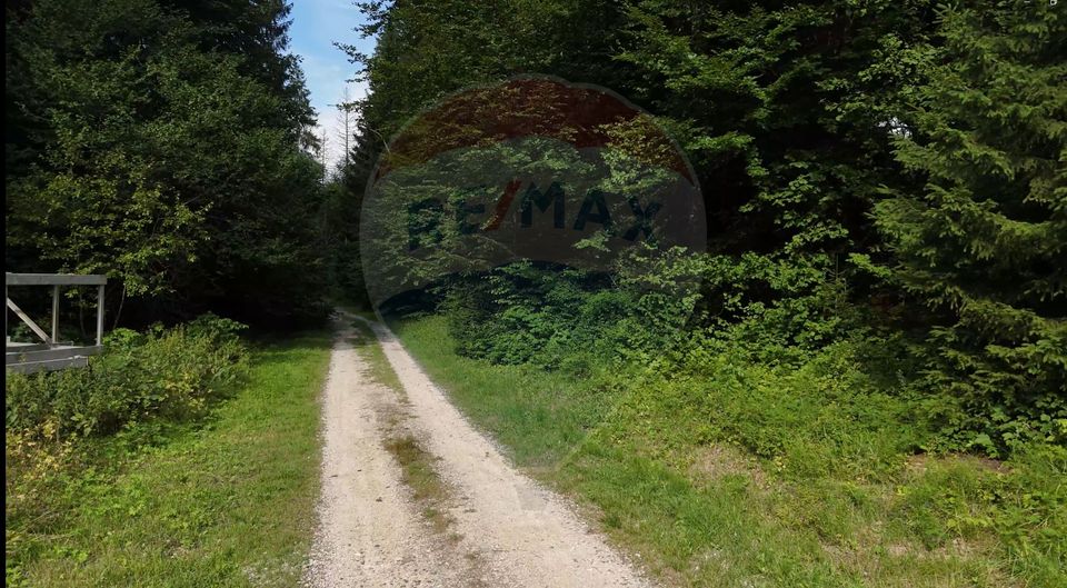 2000 sqm Intravilan Land for Sale in Poiana Brașov! 0% Commission!