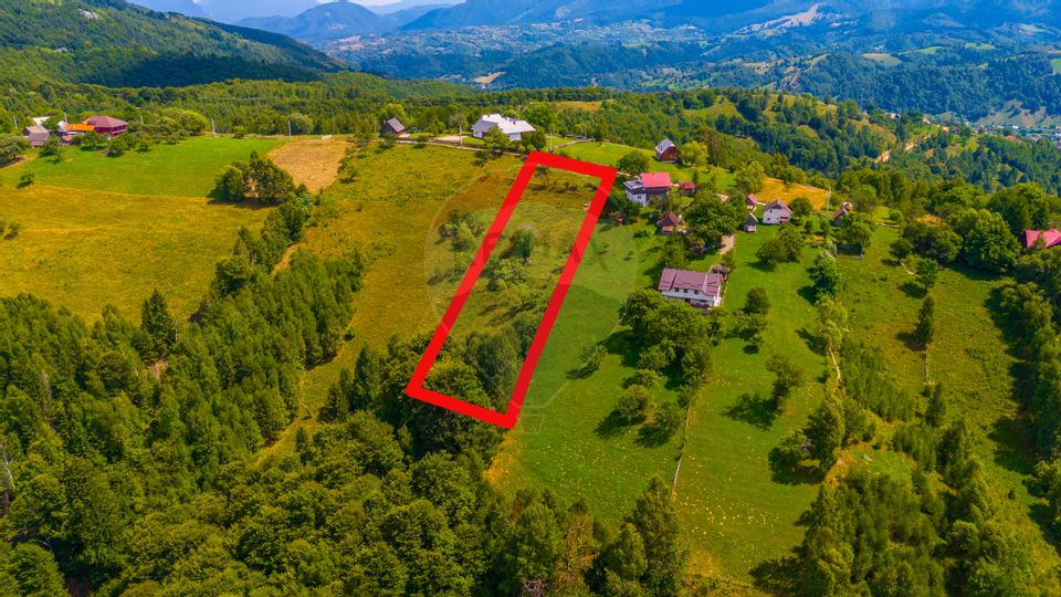 Land 4,608sqm Magura / Strada Principala