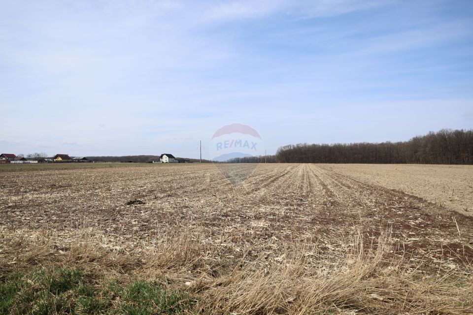 Teren 9,740mp Suceava / Strada Principala