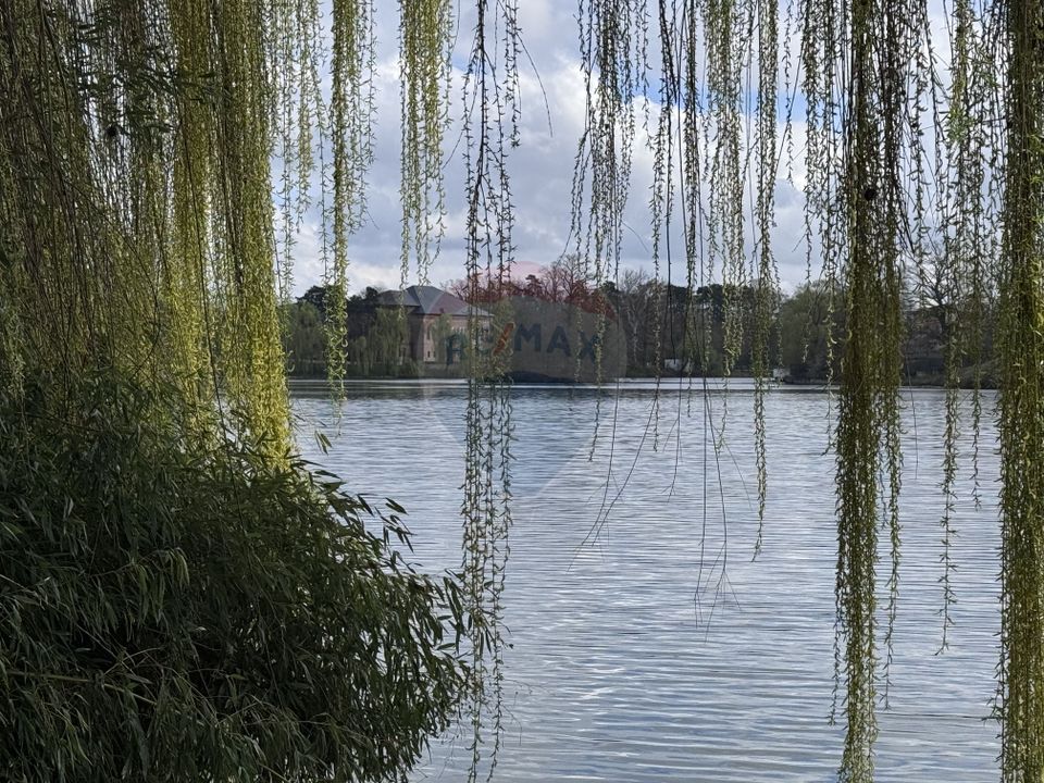 Casa / Vila cu 8 camere de vanzare