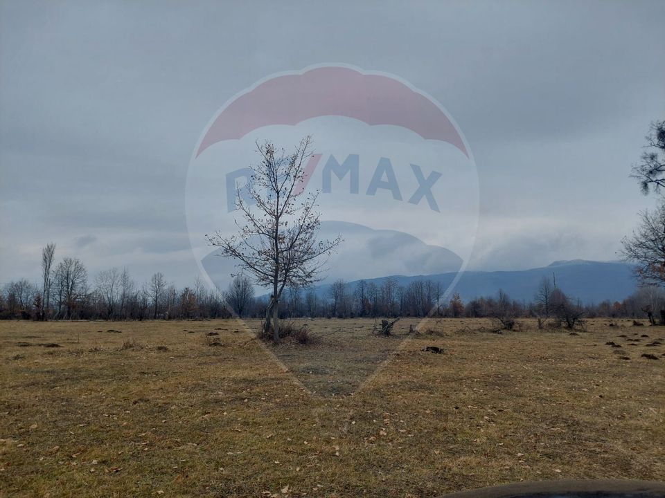 Land 11,400sqm Comanesti / Prelungirea Punct podina