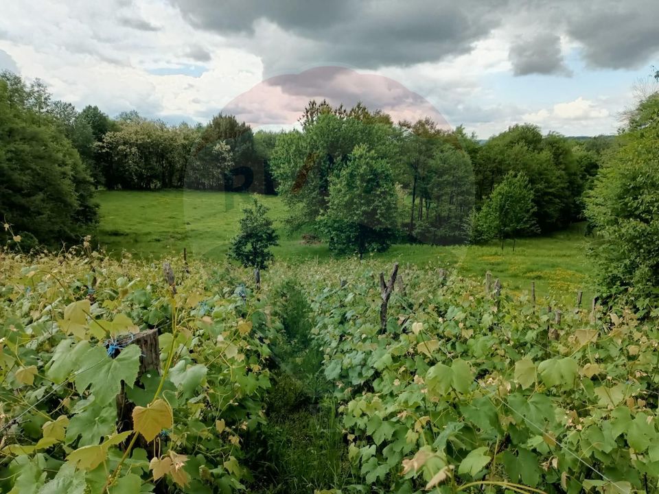 4 room House / Villa for sale