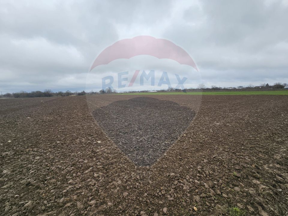 Teren de vanzare, intravilan, Adunatii-Copaceni Strada Scolii Primarie