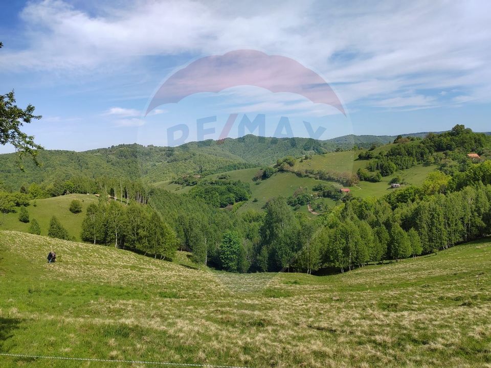 Land 20,131sqm Poiana Marului / Strada Fara nume
