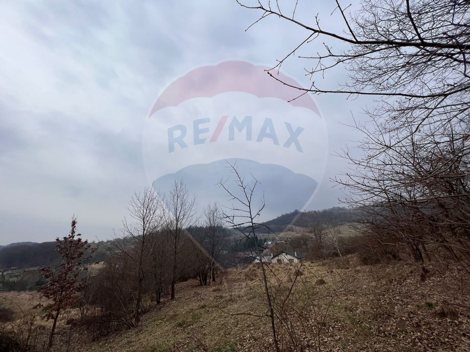 Land 500sqm Margineni / None