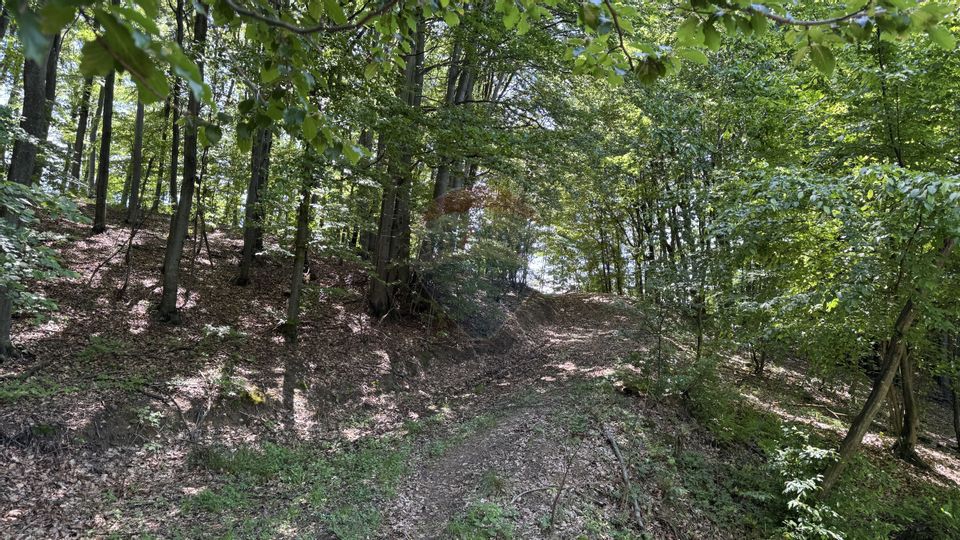 TEREN DE VANZARE SE ACCEPTA SCHIMB CU PROPRIETATI ÎN ORAS