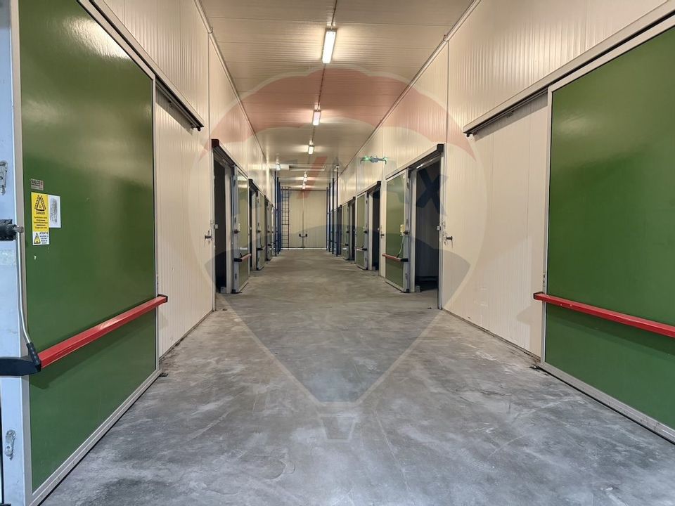 Ferma agro-industrială – 43 ha Adunații Copaceni