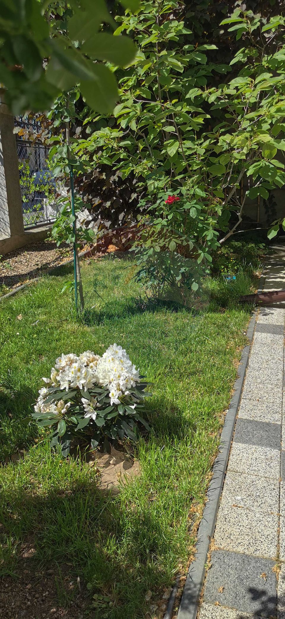 Casa / Vila cu 8 camere de vanzare în zona Cotroceni