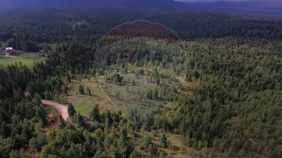 Teren extravilan parcelabil Călățele Pădure, zona Dealu Negru