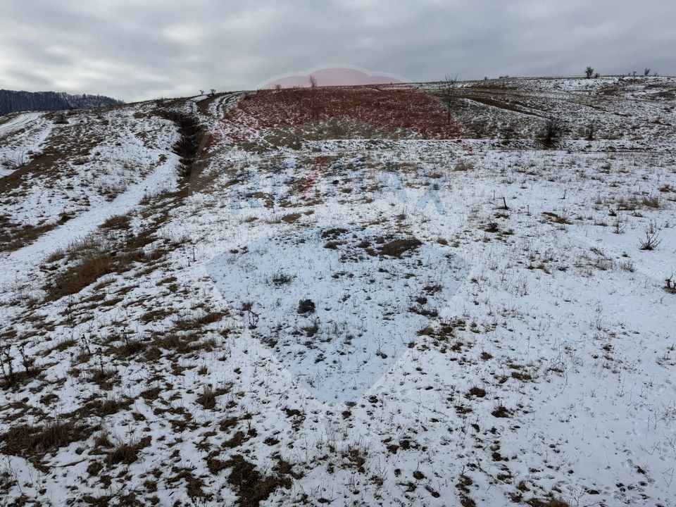 8 room House / Villa for sale, Darmanesti area