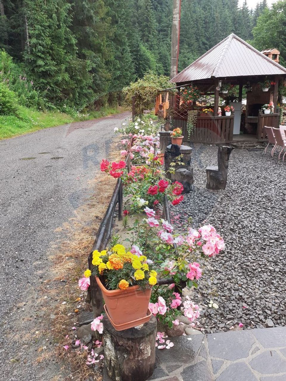 20 room Hotel / Pension for sale, Firiza area