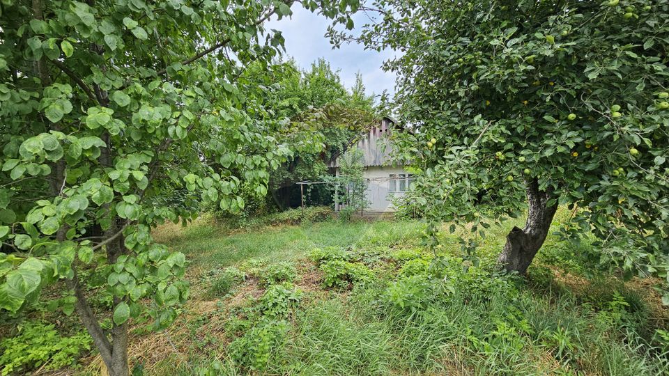 Casa  de vânzare cu teren 9200 mp, Pădureni-Șendriceni, Botoșani