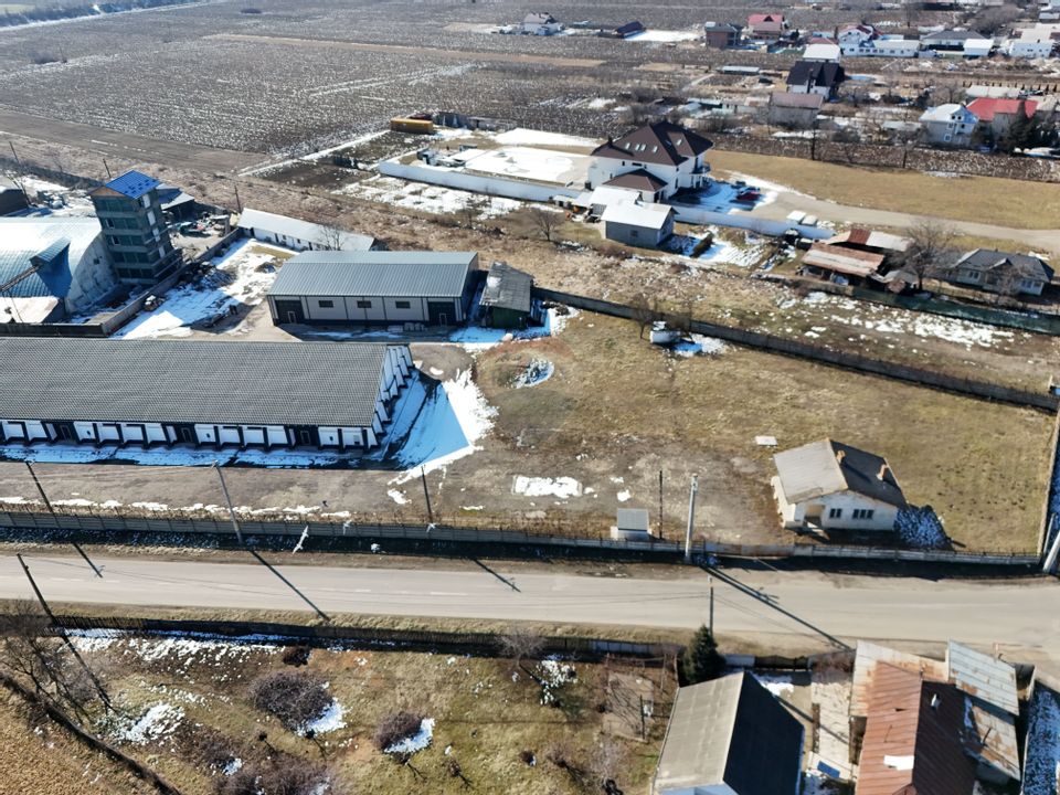 Hale industriale de închiriat în Tg Neamț