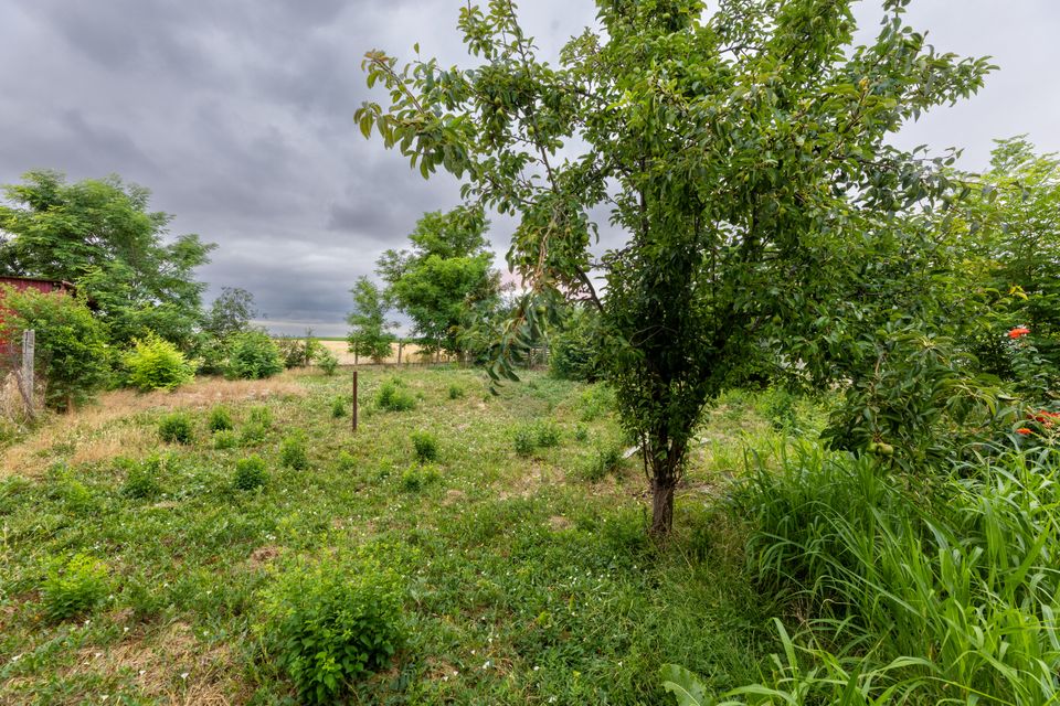 3 room House / Villa for sale