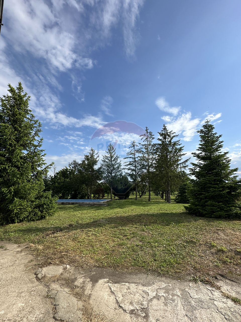 Proprietate speciala Dragomiresti Deal -Teren 15000 mp