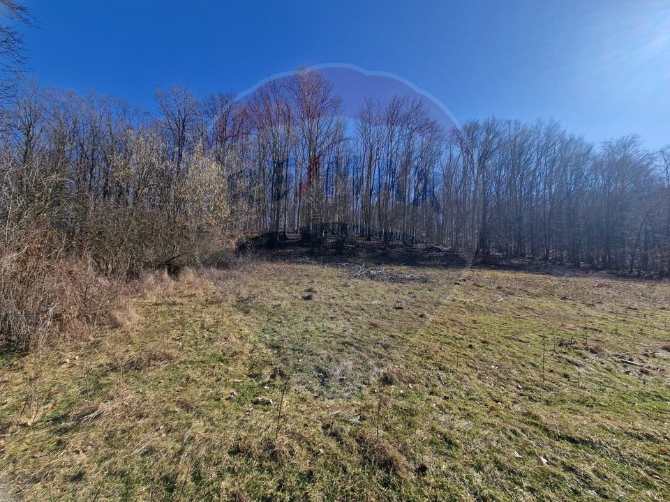 Land 4,985sqm Sascut / None