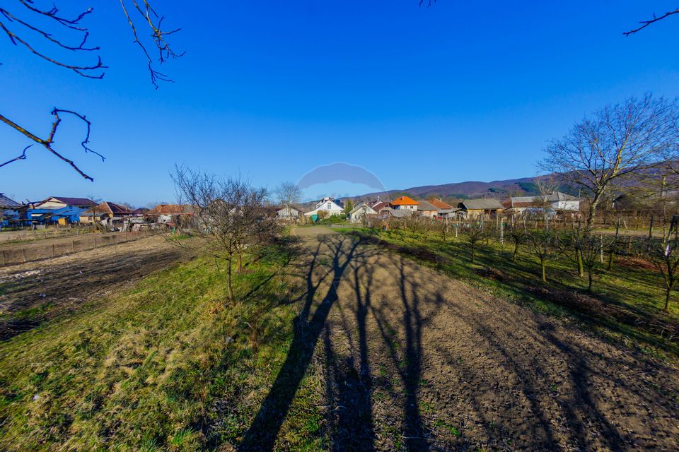 DE VANZARE Proprietate  în Țicău – douǎ case cu livadă și gospodărie