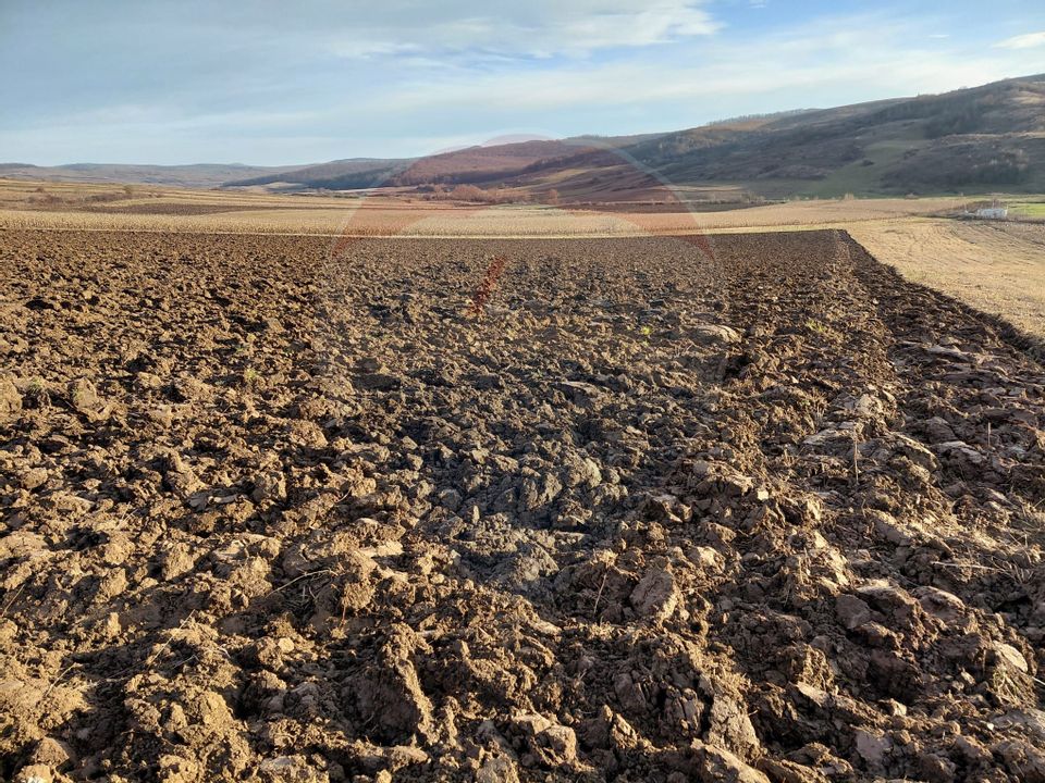 Land 7,200sqm Secuieni / DN Principala