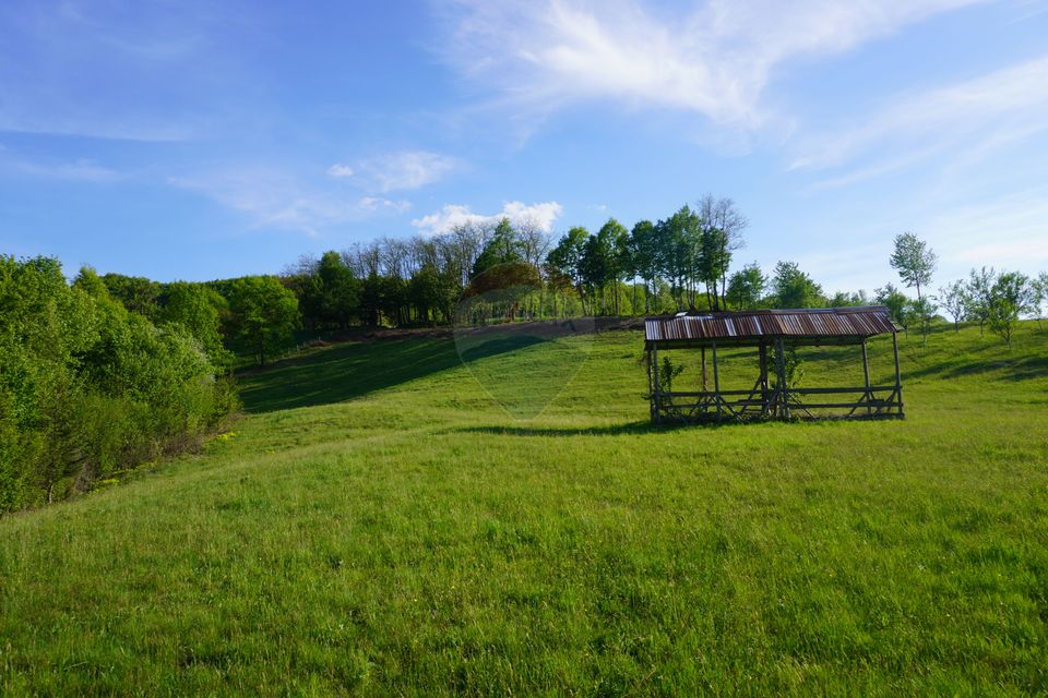 Land 15,000sqm Sighetu Marmatiei / Strada Mocăniței