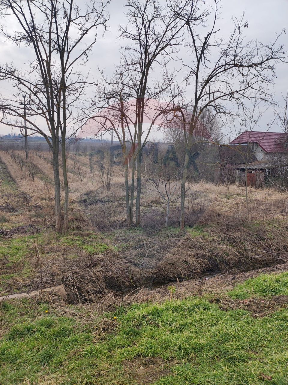 Teren 2.341 mp Uileacu de Munte front 26 ml la drum asfaltat