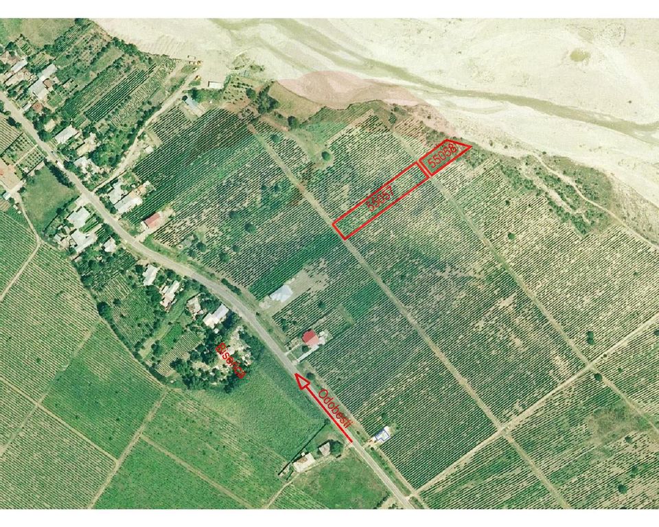 Land 3,010sqm Vartescoiu / DJ 205C