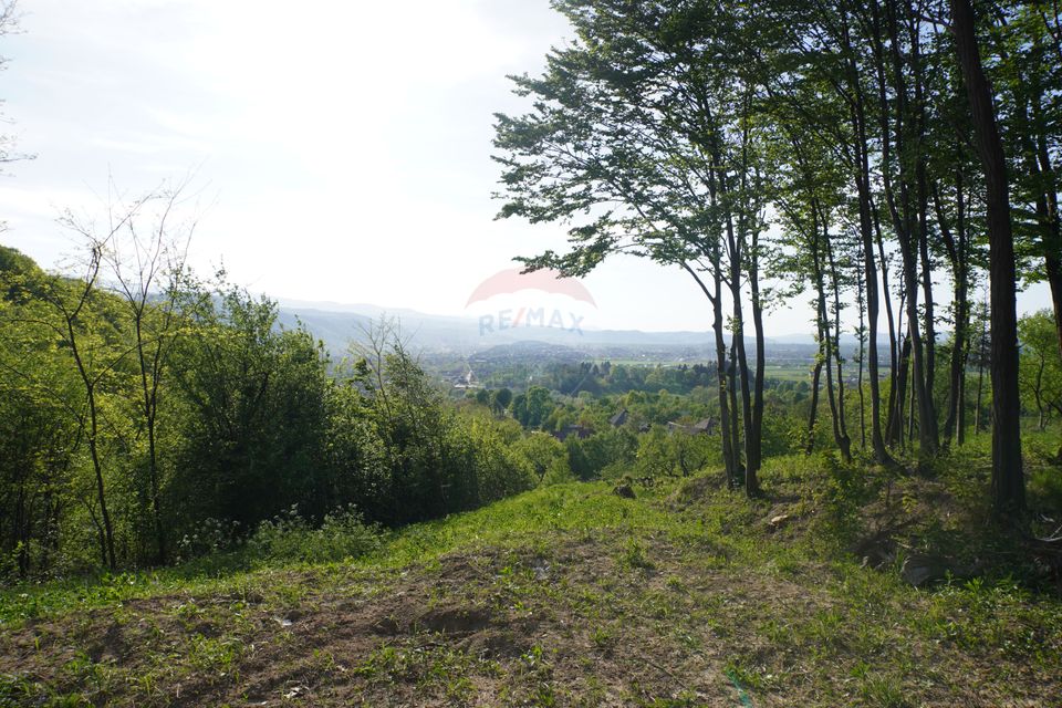 Land 15,000sqm Sighetu Marmatiei / Strada Mocăniței