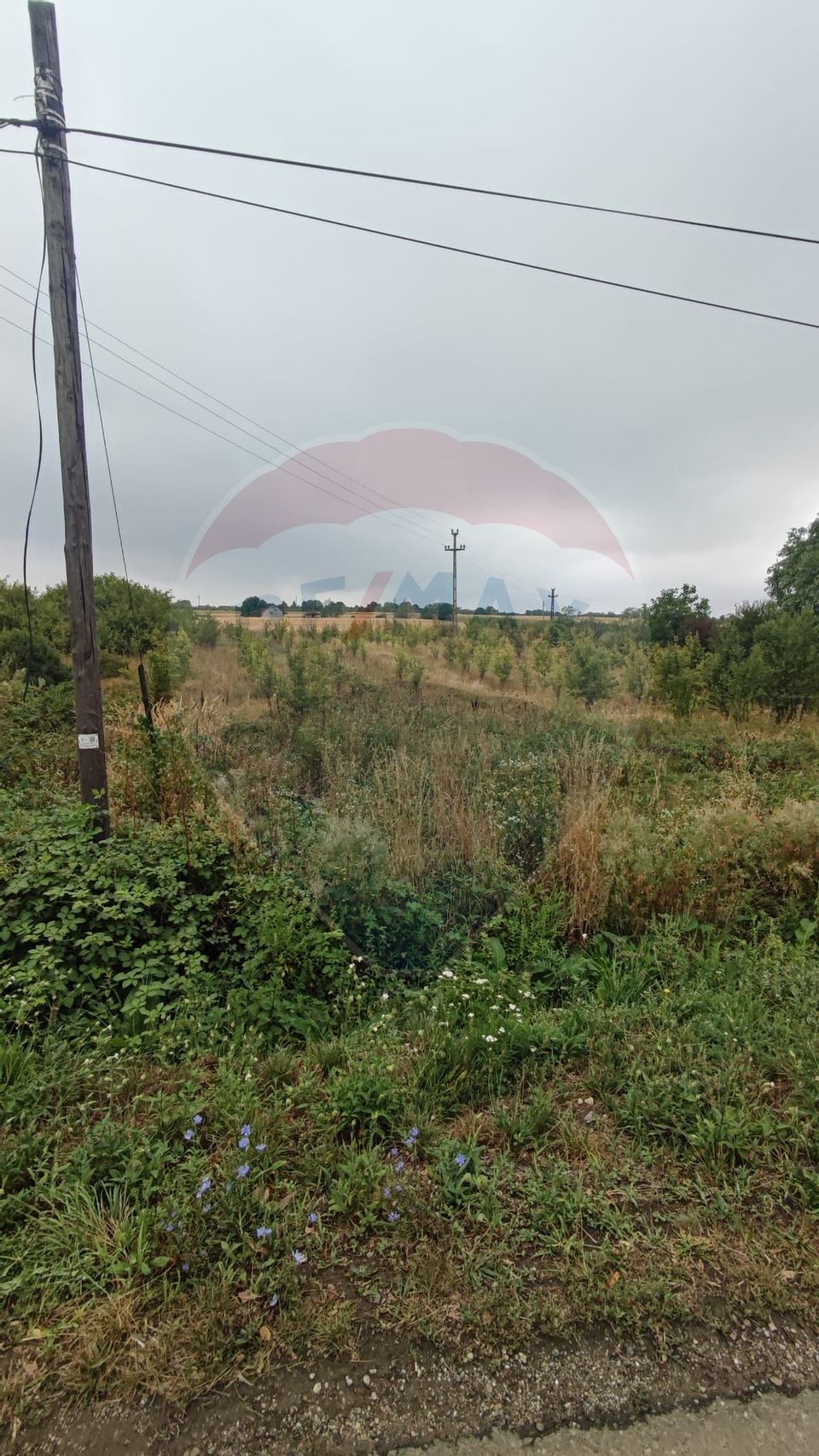 Teren 2.341 mp Uileacu de Munte front 25 ml la drum asfaltat