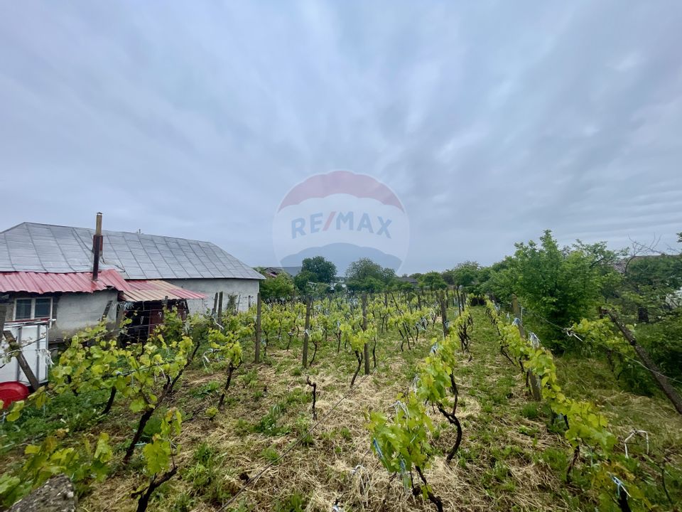 Casă cu 3 camere Movilita