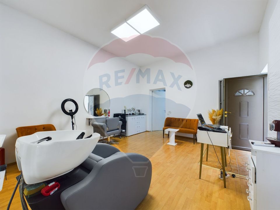 13 room House / Villa for sale, P-ta Victoriei area