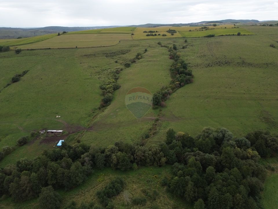 Teren de vanzare, 65 hectare - Agnita