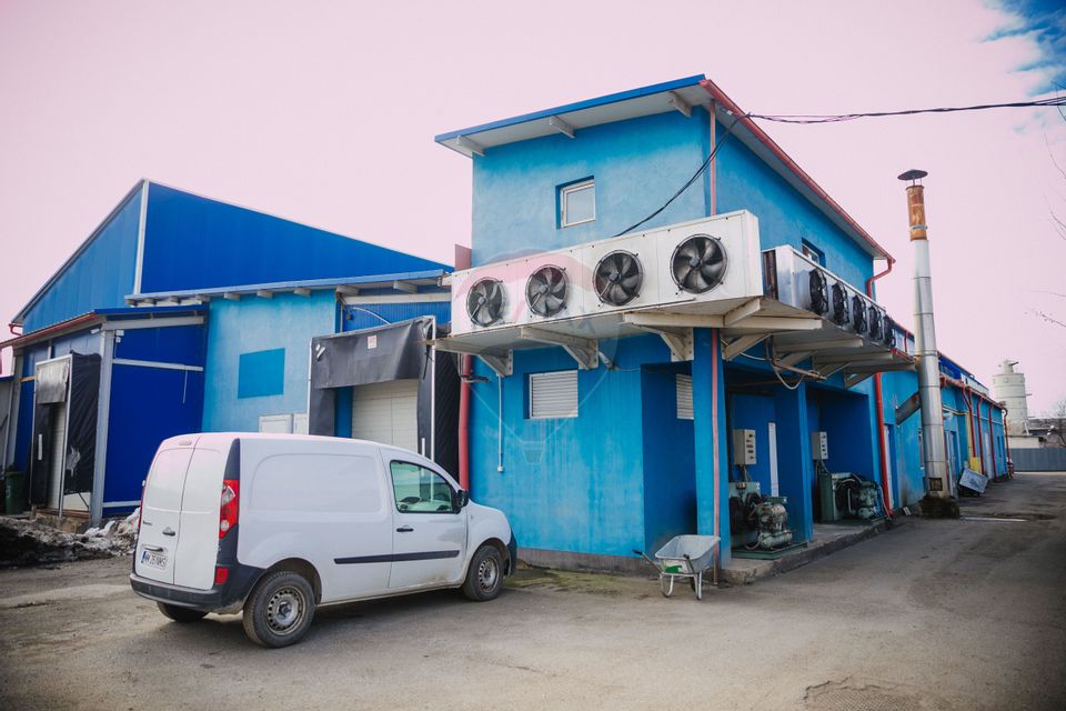 De vânzare AFACERE la cheie--CARMANGERIE--ABATOR--PREPARARE MEZELURI