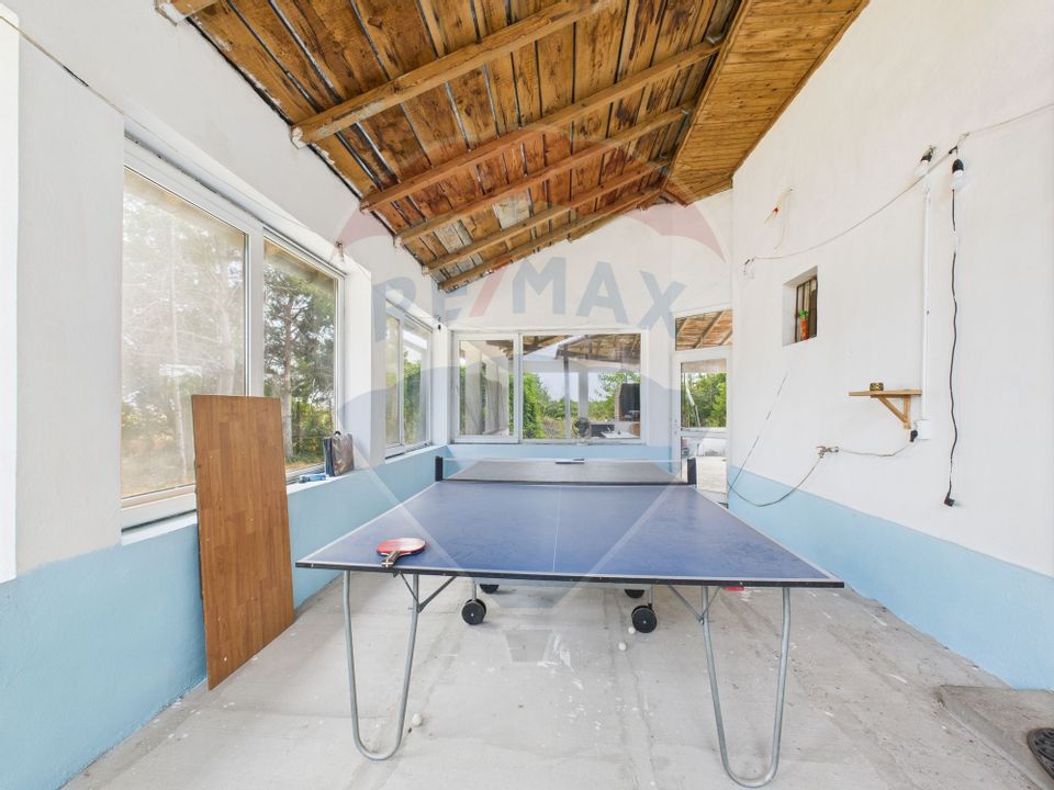 Proprietate speciala Dragomiresti Deal -Teren 15000 mp