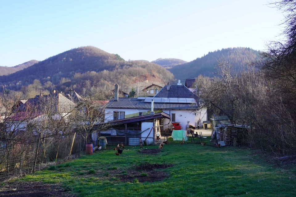 Proprietate cu 2 Case și Teren Generos – Str. Câmpu Negru