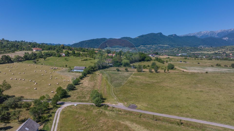 Teren Bran -Sohodol, Strada La mesteceni, 6900mp