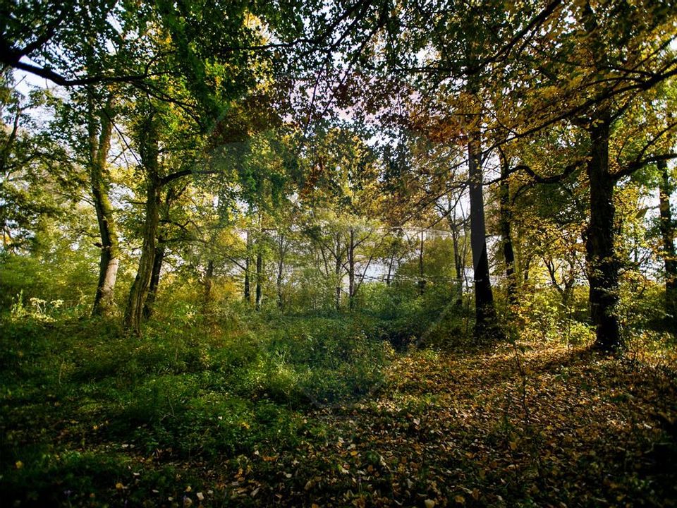 Domeniu Baronial de vanzare in localitatea CIL , Judet Arad