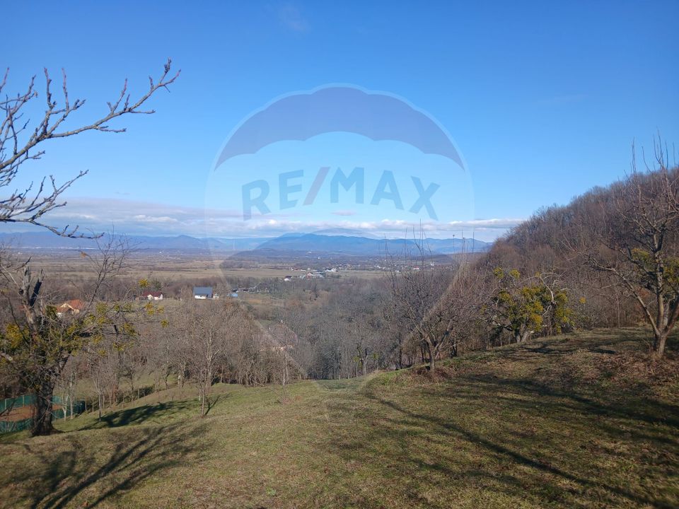 Teren intravilan generos 3.206 mp în Remecioara | Priveliște deosebită