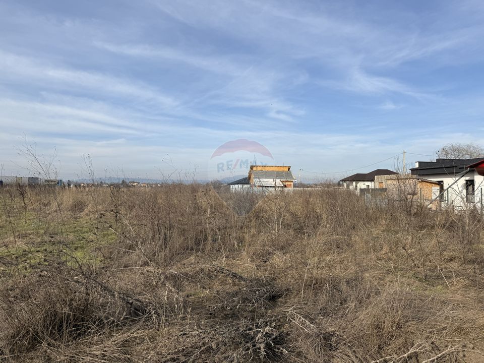 Land 7,478sqm Bucov / Strada Tineretului