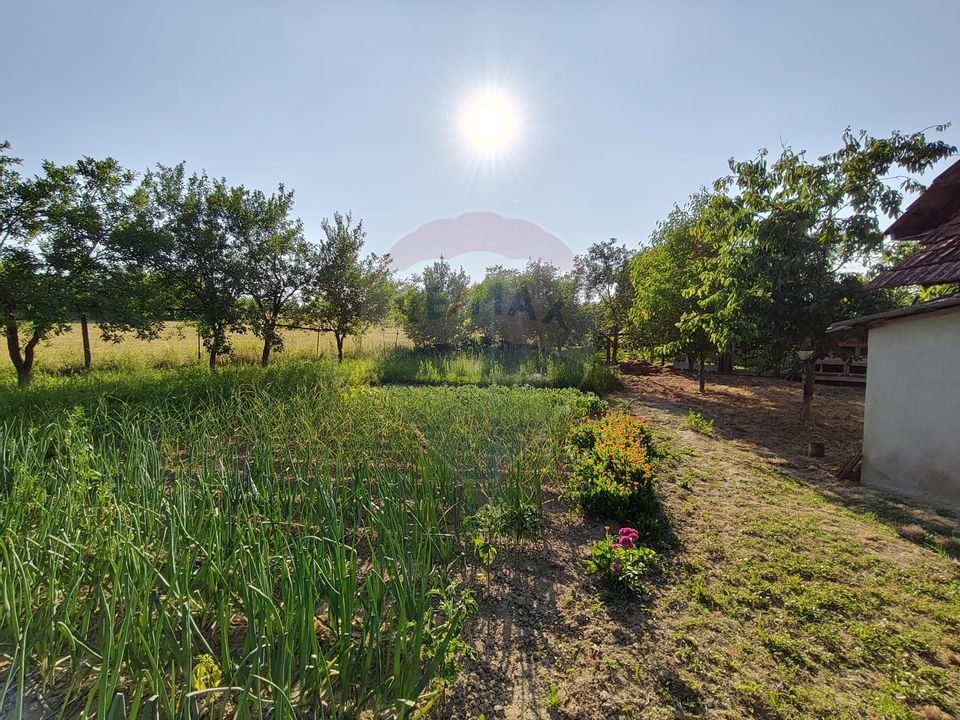 DE VÂNZARE – Gospodărie tradițională, Sat Remeți Pe Someș