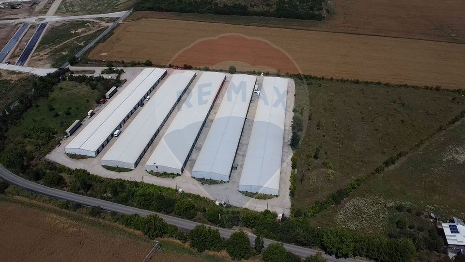 Land 15,700sqm Afumati / Strada Moara Domneasca