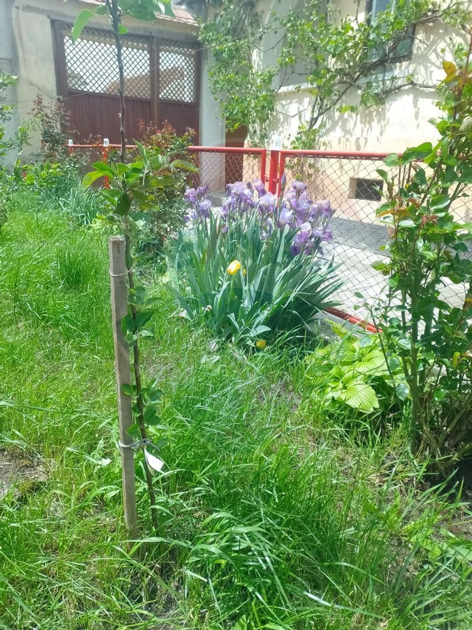 Casa cu 4 camere si gradina, Dacia 70 km de Brasov!