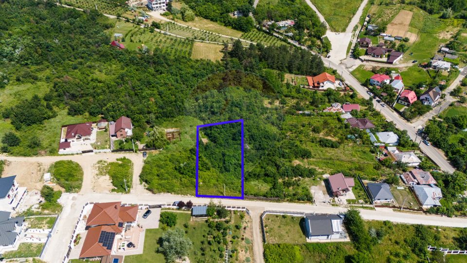 Teren de Vânzare 1450mp la Asfalt - Zona Plopii Fără Soț, Bucium-Iași