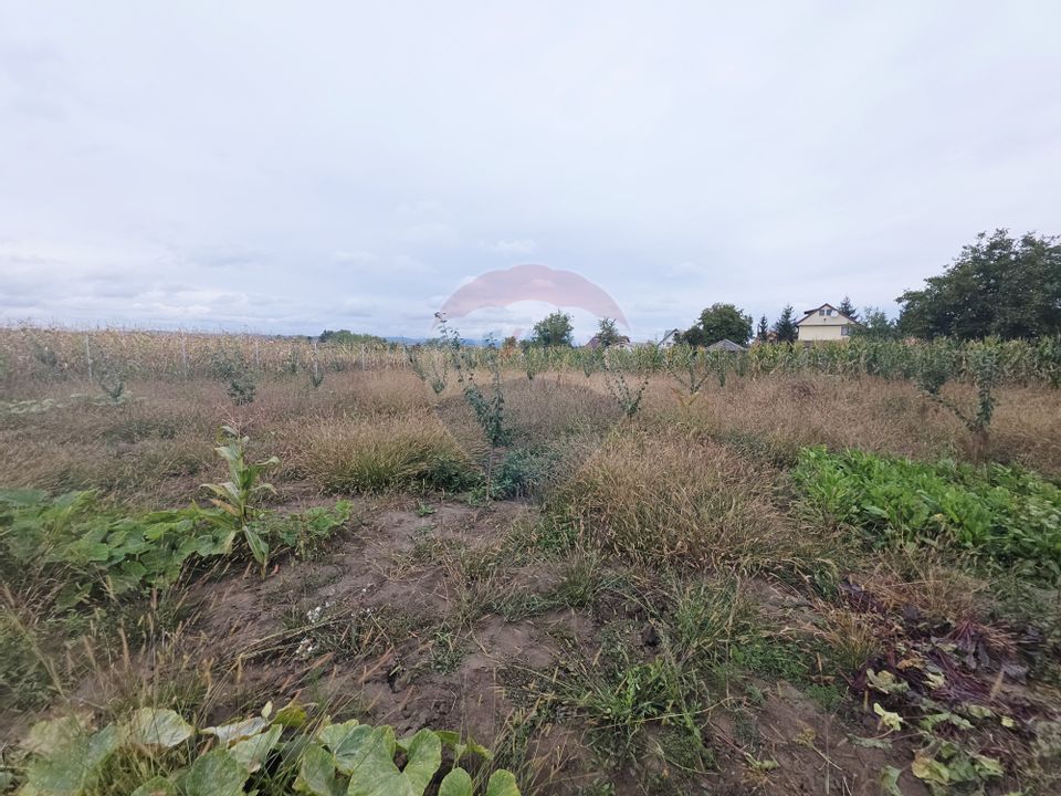 4 room House / Villa for sale