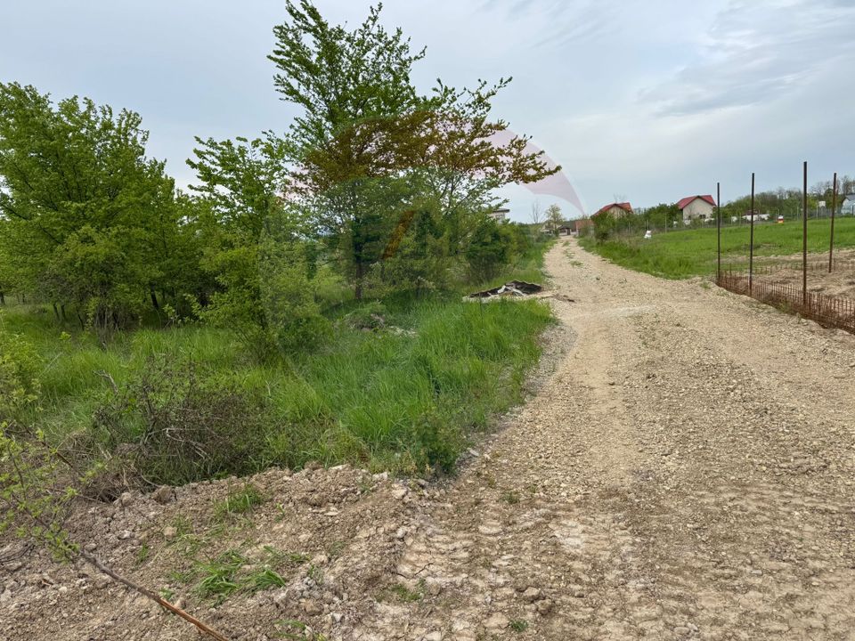 Land 960sqm Ciolpani / None