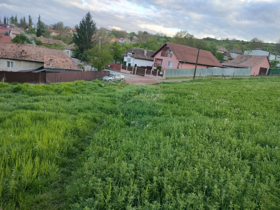 Teren intravilan Tarnaveni