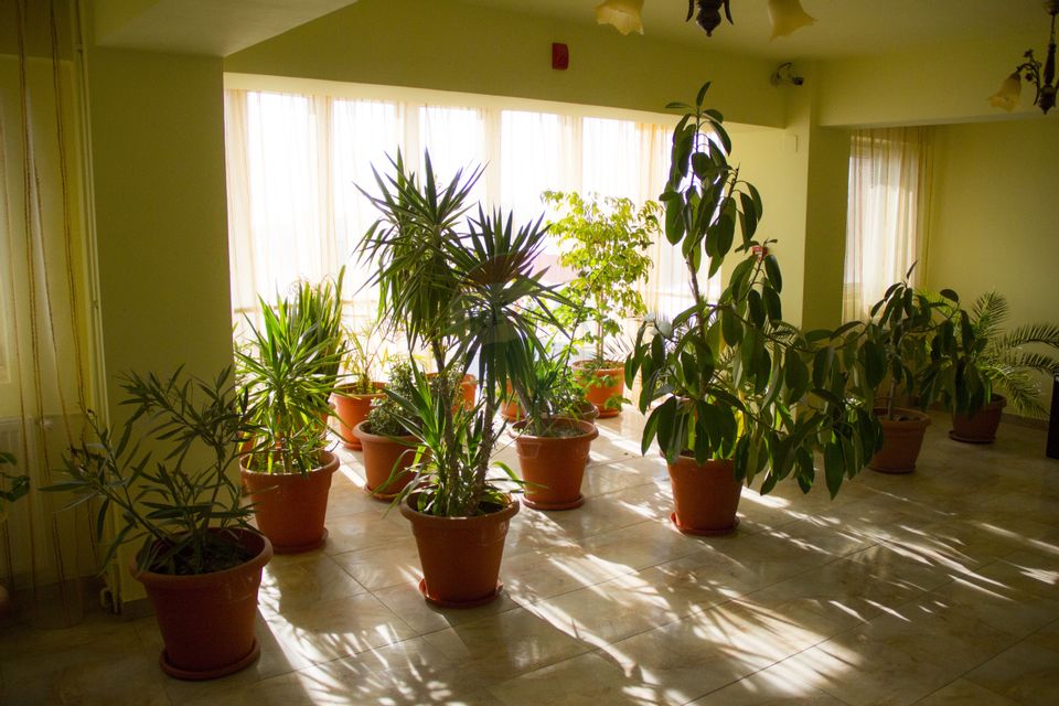 Hotel de vanzare Buftea IF –Cu 40 de camere