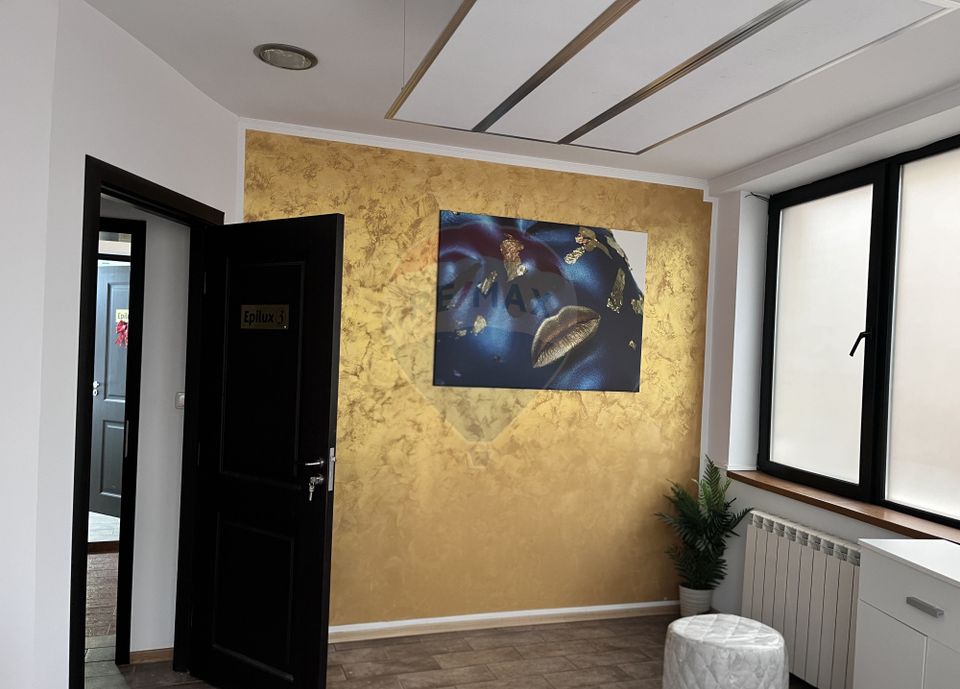 Vila de închiriat 6 camere Piata Victoriei